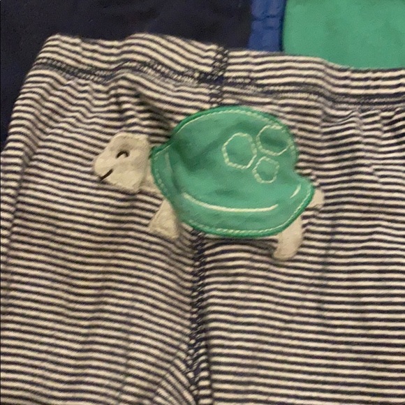 Turtle set - Picture 3 of 4